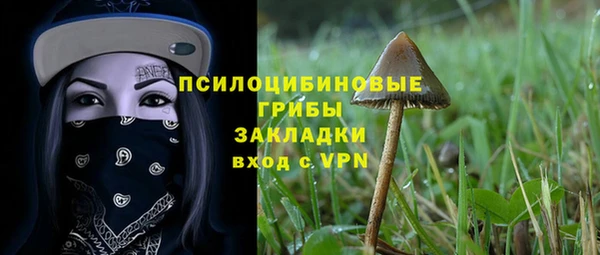 кокаин премиум Алексеевка