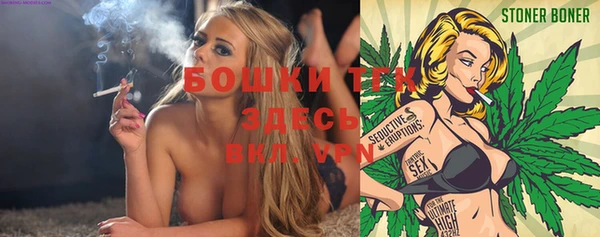 стаф Зеленокумск