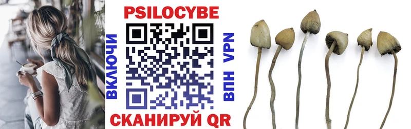 Галлюциногенные грибы GOLDEN TEACHER  Зверево 